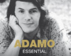 ADAMO»Jardinero del amor»